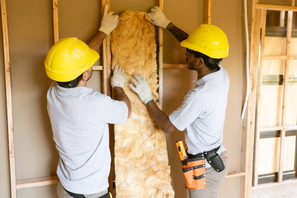 Best Fiberglass Insulation  in Lemoyne, PA